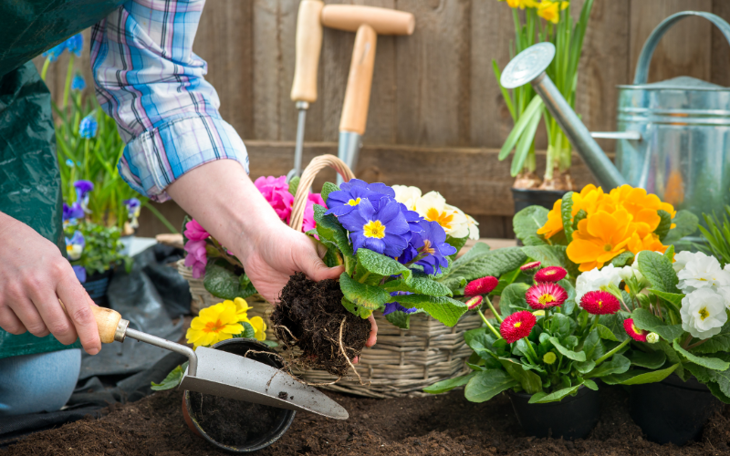 gardening can have many benefits for mental health