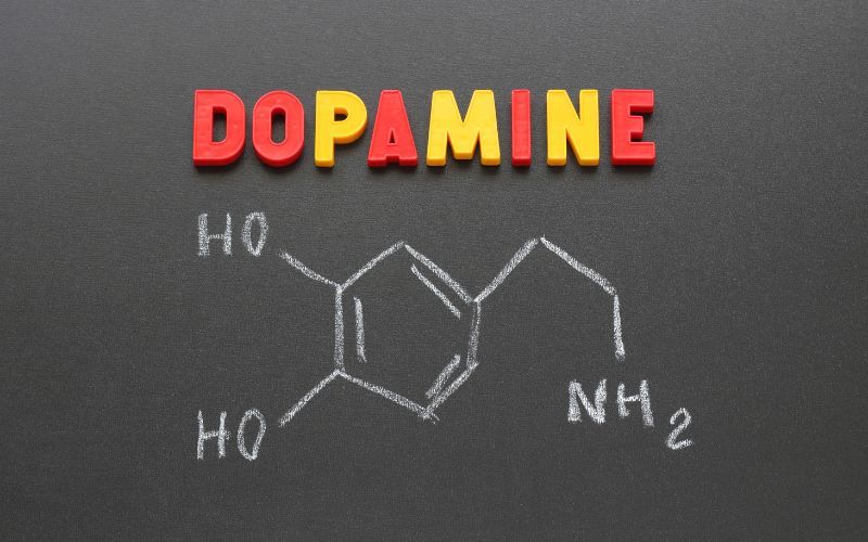 Ride the Natural Dopamine Wave- 10 Dopamine Boosters You'll Love